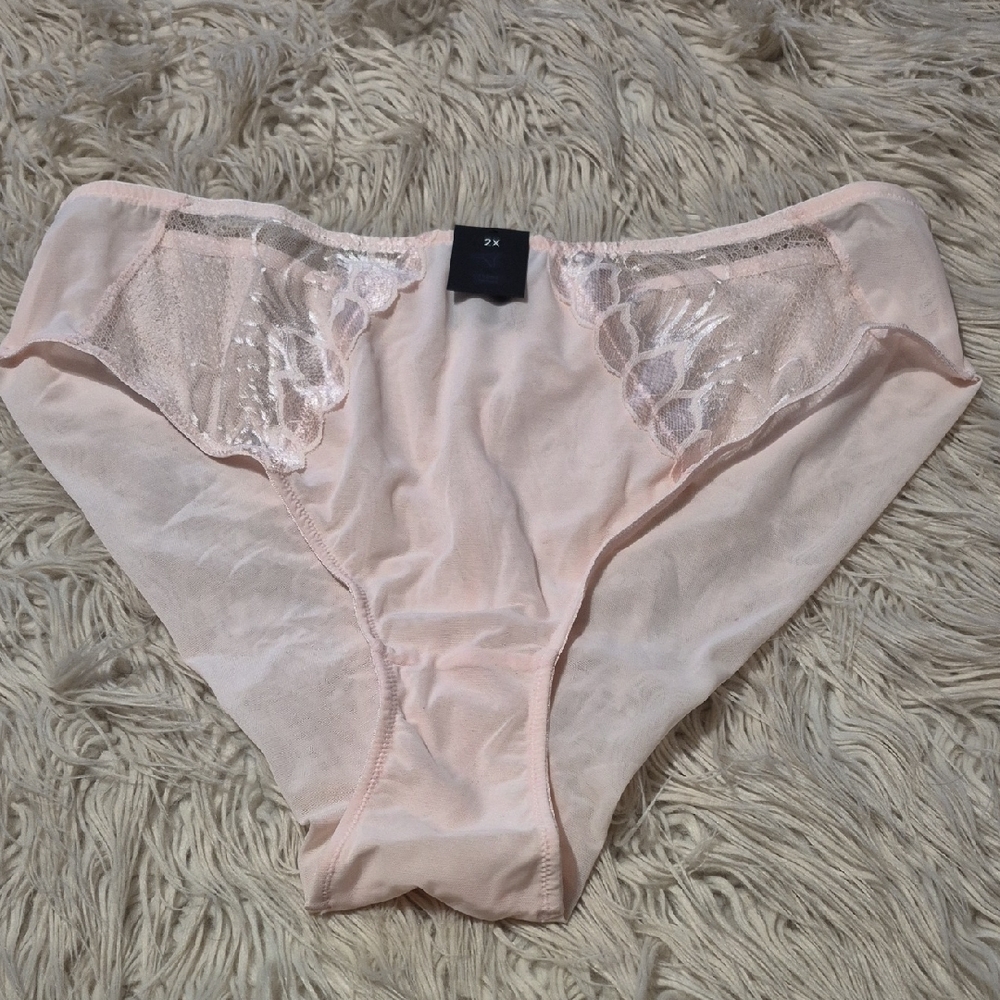 Deesse Lingerie Soft Pink Sheer Lace Panties